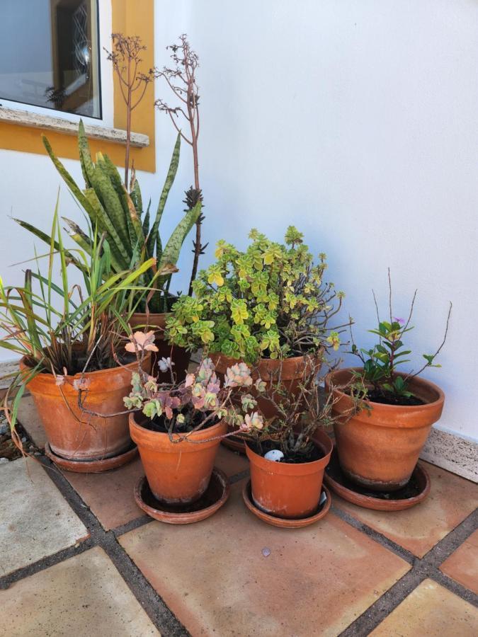 Quinta Das Amendoas Carvoeiro  Dış mekan fotoğraf