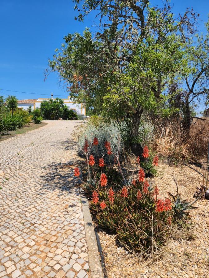 Quinta Das Amendoas Carvoeiro  Dış mekan fotoğraf